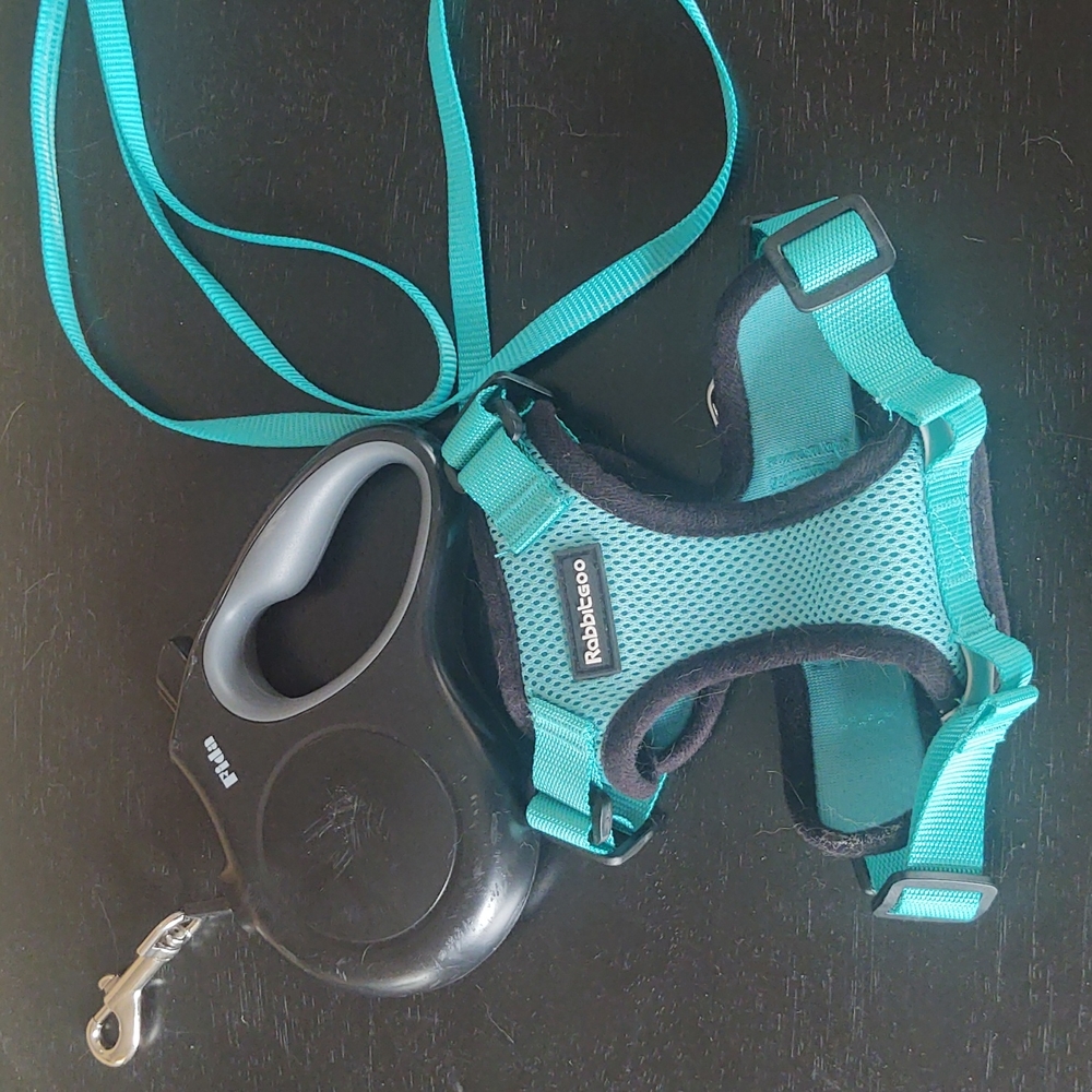 Rabbitgoo animal leash